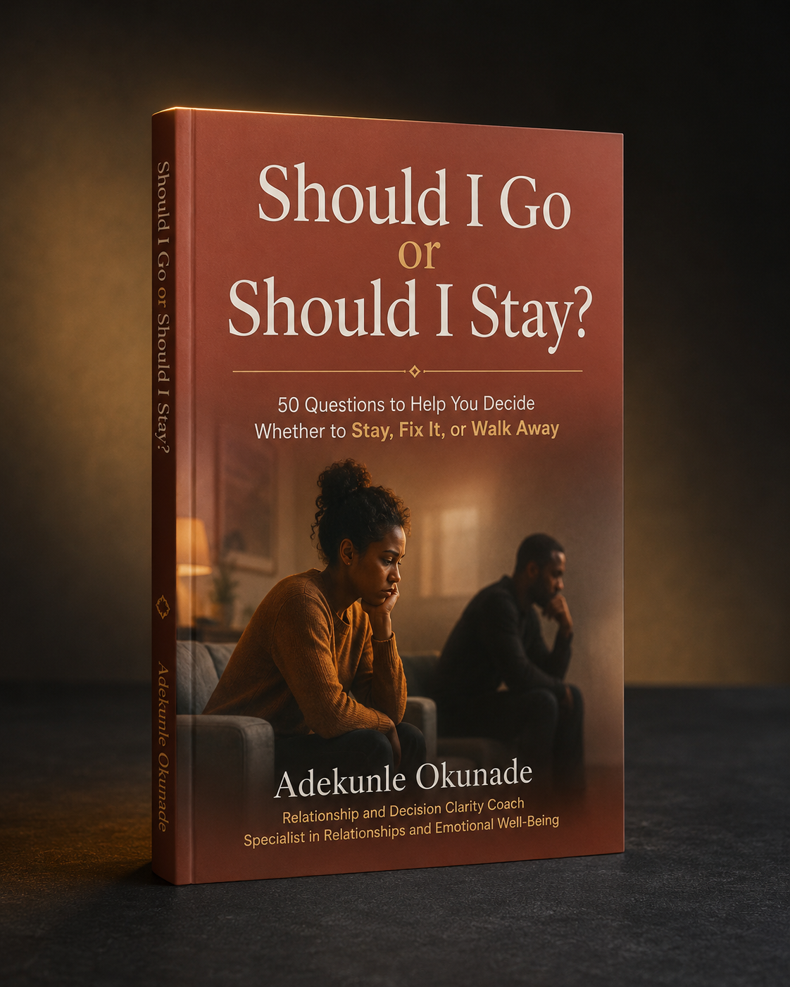 Book cover of Should I Stay or Should I Go? by Adekunle Okunade
